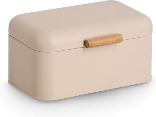 Cutie de Pâine cu Capac Metalică 30.5x20.5x15cm