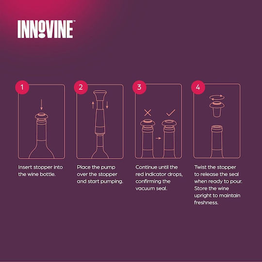 Innovine Αντλία Αφαίρεσης Αέρα Πλαστική Γκρι