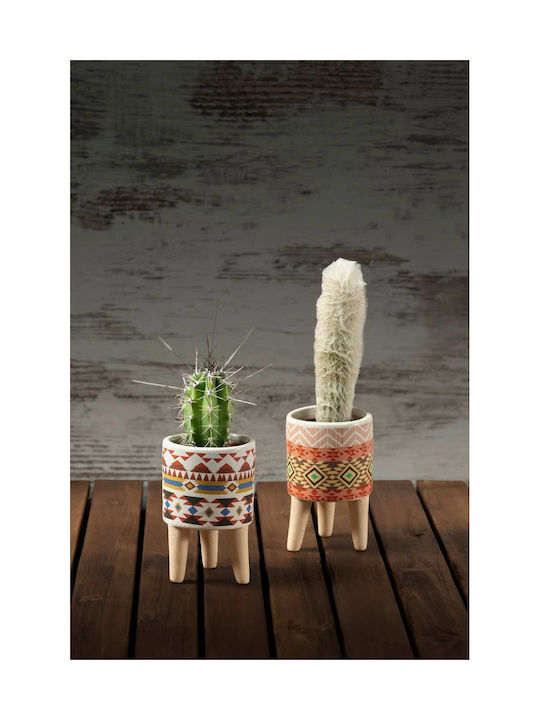 Set 2 Bunte Kakteen in Topfpflanze 5/6 5cm