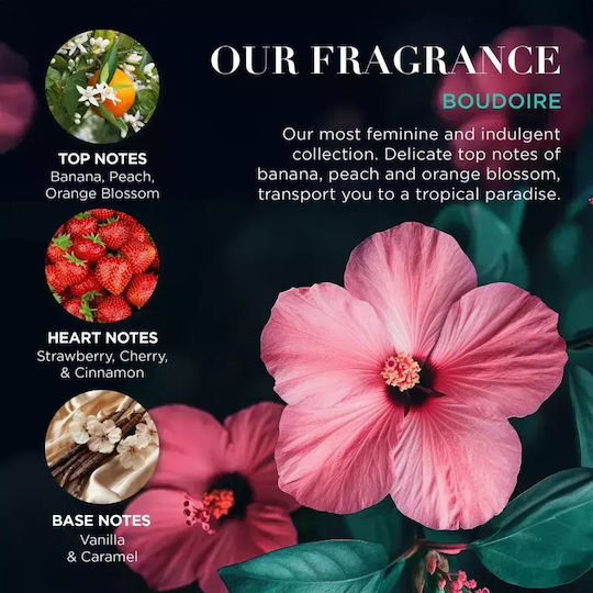 Baylis & Harding Boudoire Tropical Paradise Σετ Περιποίησης