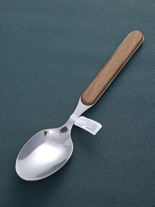 Silver Stainless Steel Spoon