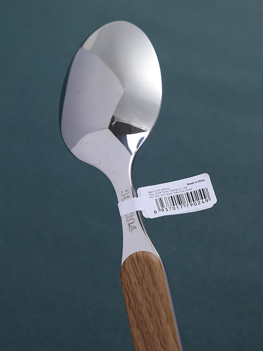 Silver Stainless Steel Spoon