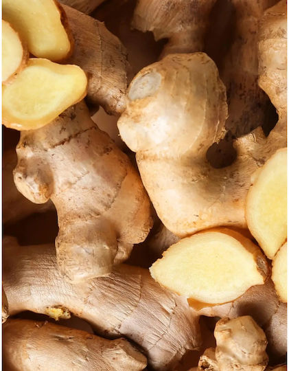 Pukka Tea Organic Product Ginger