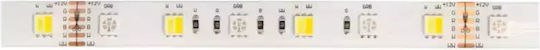 Eco Light Ταινία LED 12V Ρυθμιζόμενο Λευκό Φως 5m Τύπου SMD5050