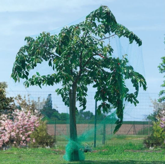 Plasă De Protecție Împotriva Păsărilor 8x14m