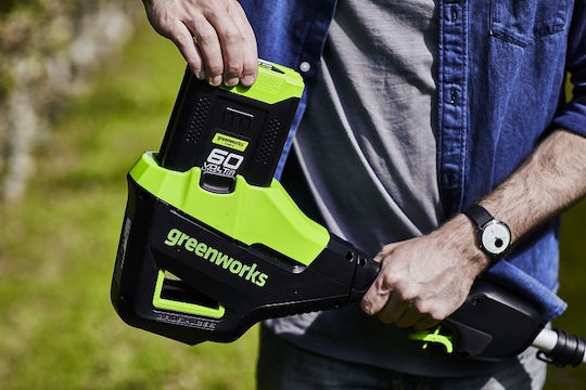Greenworks GD60PHT51 Teleskopisch mit Klingenlänge 51cm Solo