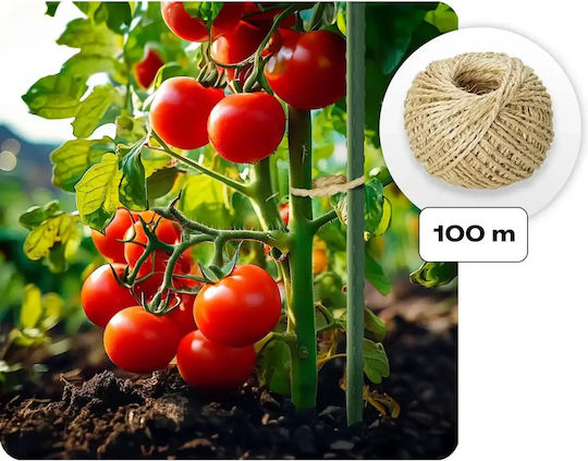 Seră De Grădină 2.5 X 4 M 10 M2 Plonos