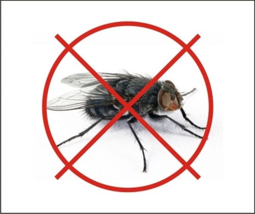 Παγίδα Γιά Μύγες Fly Trap Xl Χωρητικότητα 40.000 Μύγες 100% Αποδοτική Παγίδα Γιά Μύγες Fly Trap Xl Χωρητικότητα 40.000 Μύγες 100% Αποδοτική