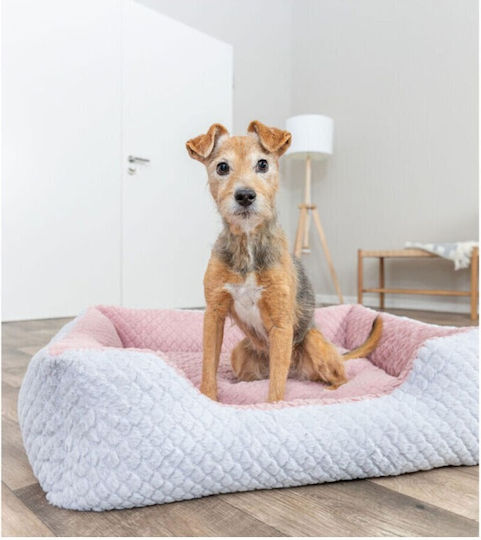 Trixie Kaline Mio Katzenbett Grau Dunkel Rosen Polyestermantel 35 × 26 × 41 cm M0609611 10 Bis 30 Tage
