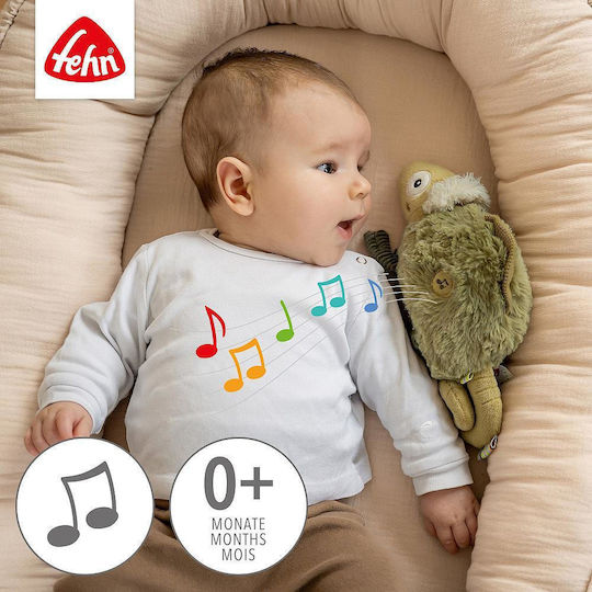Fehn Activity Gym with Music for Newborns