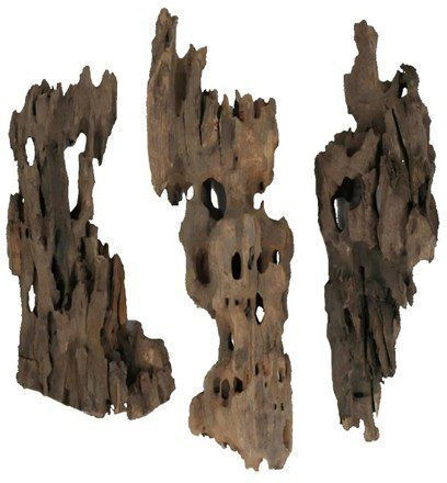Oasis Dragon Wood Per Piece