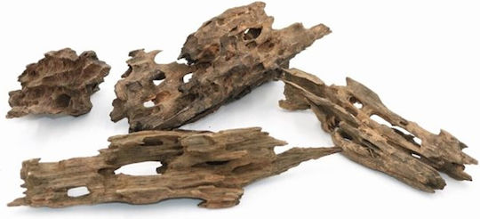 Aquadeco Dragon Wood S 0.1-0.25 Per Piece