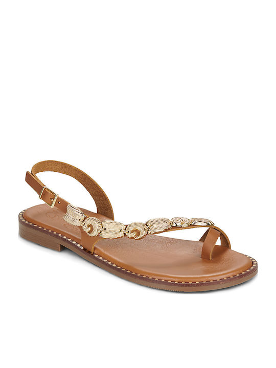 Oh My Sandals