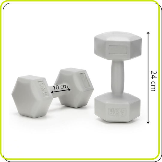 Hexagon Dumbbell 1 x 4kg