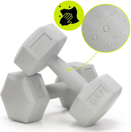 Hexagon Dumbbell 1 x 4kg