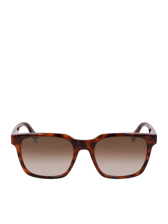Lacoste Unisex Sonnenbrille mit Braun Schildkröte Kunststoff Gestell und Braun Verlaufsfarbe Linse