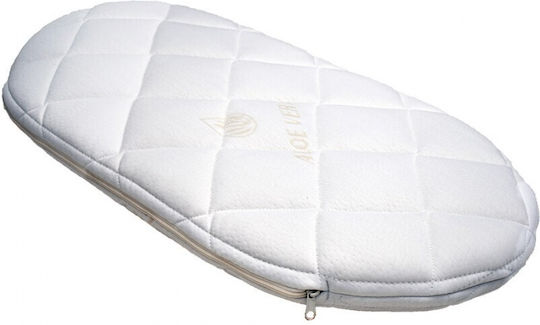 Sleepn'Life Στρώμα Καλαθούνας / Port Bebe Λευκό με Latex 37cmx75cmx5cm
