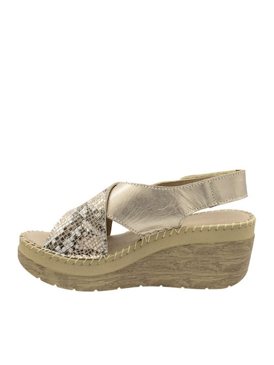 Anatomic Summer Women's Gold Platforms
