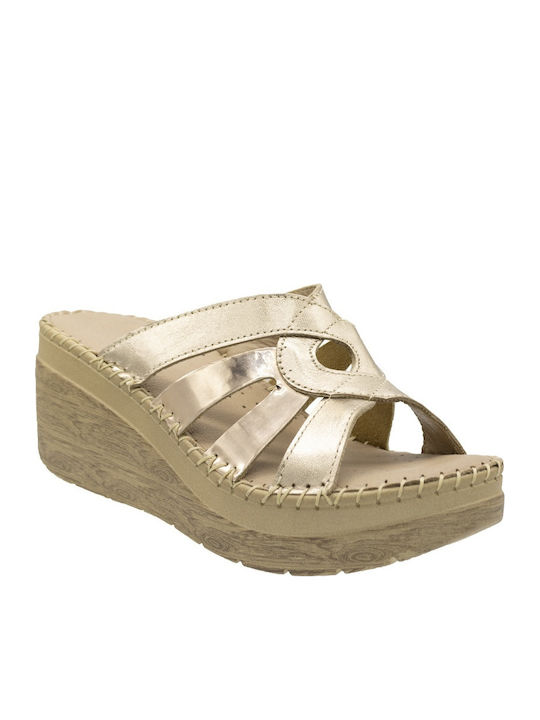 Anatomic Summer Women's Gold Platforms