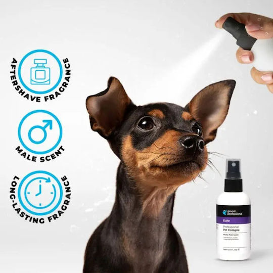 Parfüm Groom Professional Duke 100ml