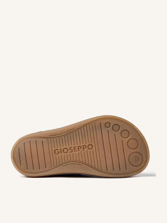 Gioseppo Gioseppo