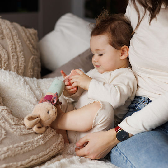 Babyono Baby Rattle For 6+ Months