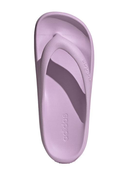 Adilette Lumia Flip Flops in Purple Colour