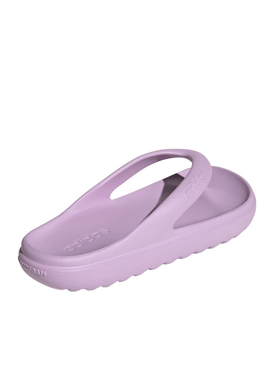 Adilette Lumia Flip Flops in Purple Colour