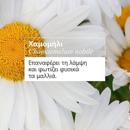 Klorane Camomille Χαμομήλι Σαμπουάν για Βαμμένα Μαλλιά