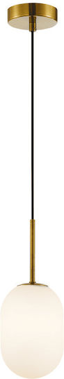 Eko Light Lustră Suspendată Auriu 12cm.