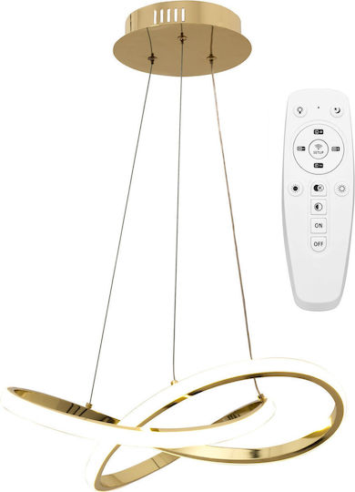 Toolight Pendant Light Gold Toolight Pendant Light Gold