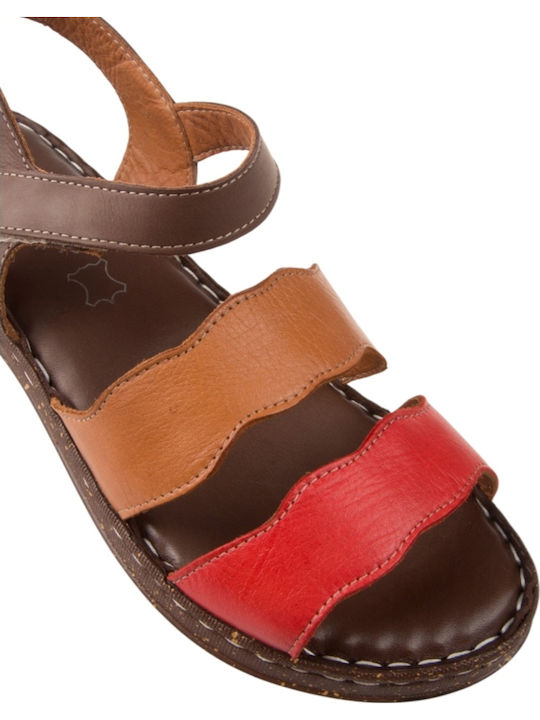 Leather Women's Anatomic Brown Sandals
