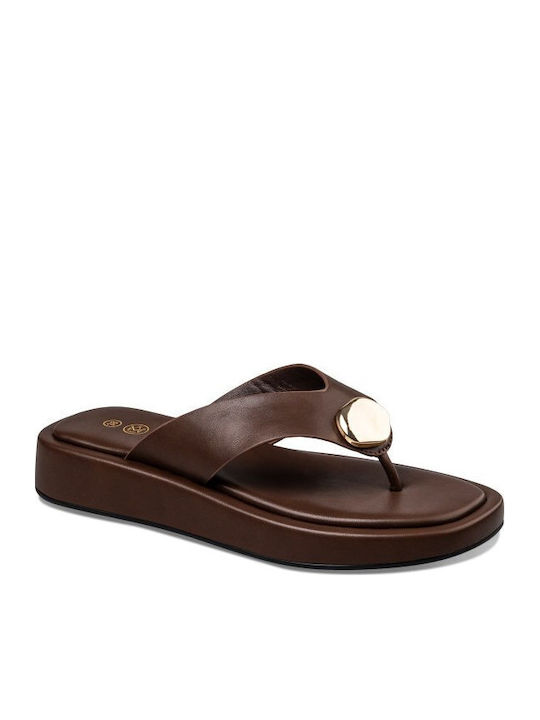 Envie Shoes