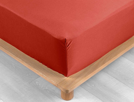 Douceur d'Intérieur Percaline Μονό 90x190εκ. με Λάστιχο Douceur d'Intérieur Percaline Μονό 90x190εκ. με Λάστιχο