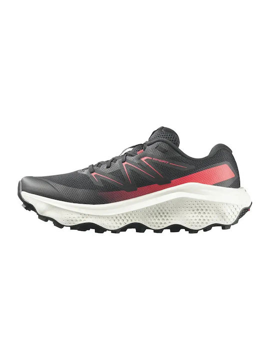 Salomon