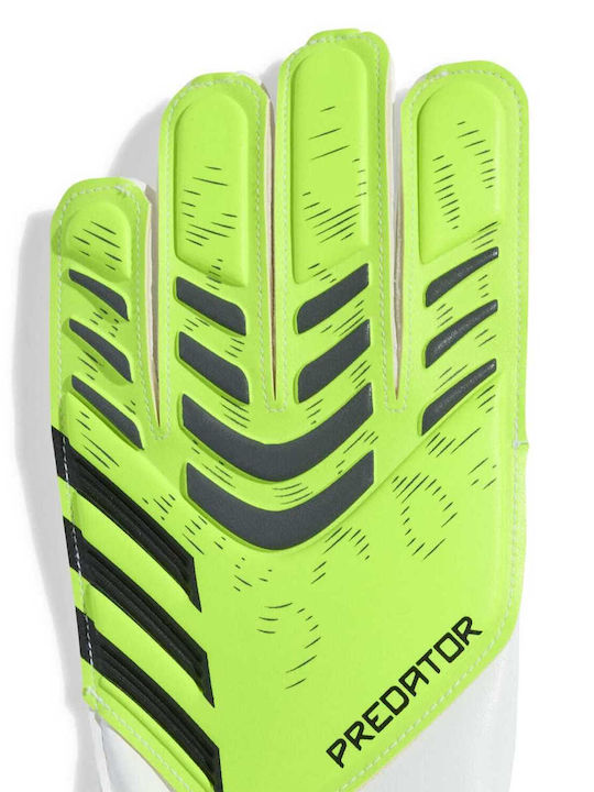 adidas Predator Training Γάντια Τερματοφύλακα Παιδικά Πράσινα