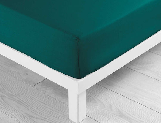 Douceur d'Intérieur Lina Douceur d'Intérieur Lina