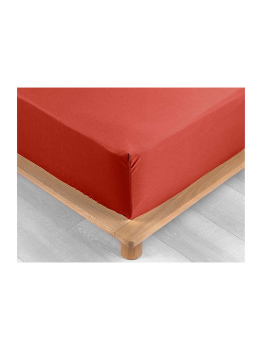 Douceur d'Intérieur Σεντόνι Υπέρδιπλο με Λάστιχο 160x200εκ. Tomette