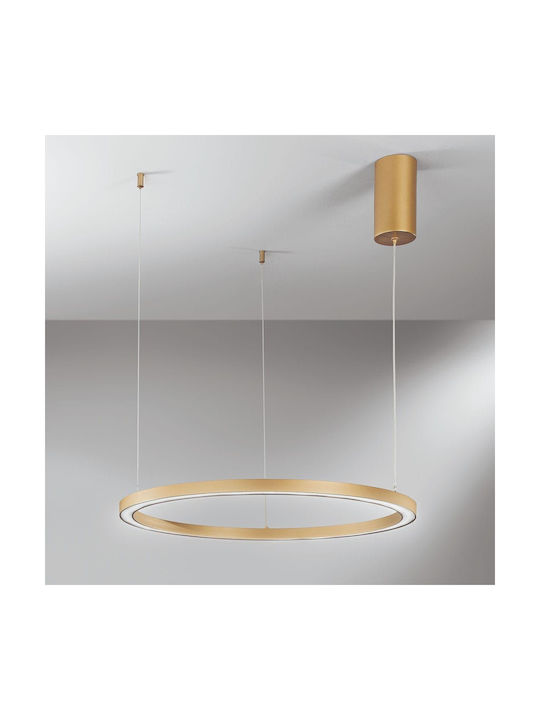 Fan Europe Led-Hoop-S60 Hängelampe Gold 60x60x150cm.