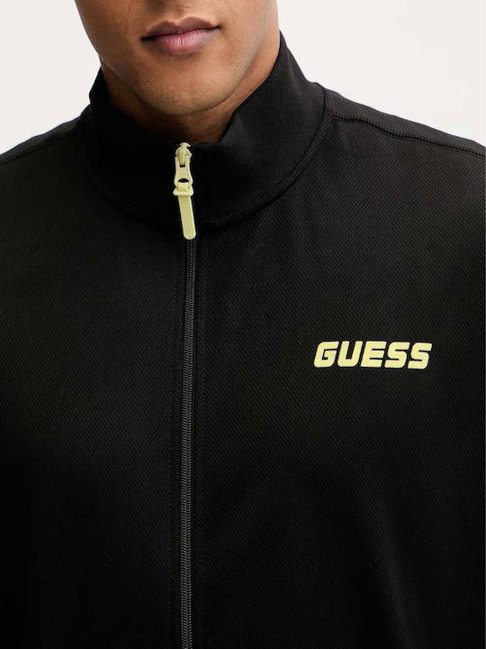 Guess