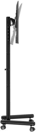 Sbox Mobile Mount Βάση Τηλεόρασης Δαπέδου έως 50" και 20kg Μαύρο