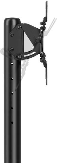 Sbox Mobile Mount Βάση Τηλεόρασης Δαπέδου έως 50" και 20kg Μαύρο