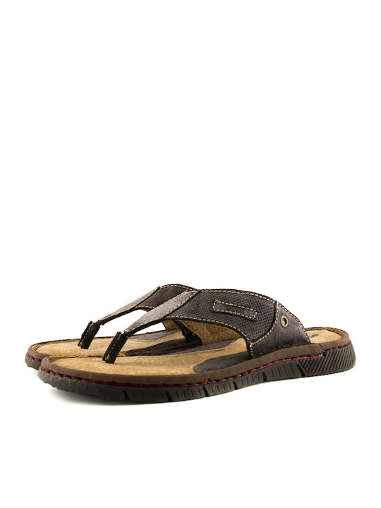 Adam's Shoes