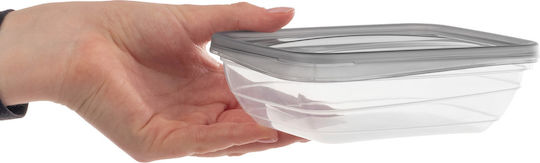 Curver Δοχείο Φαγητού Πλαστικό Γκρι 500ml