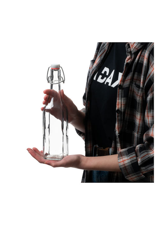 Kadax Glas Wasserflasche mit Clip Transparent 500ml 5 Stücke
