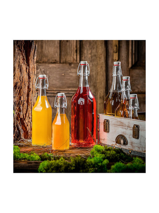 Kadax Glas Wasserflasche mit Clip Transparent 500ml 5 Stücke
