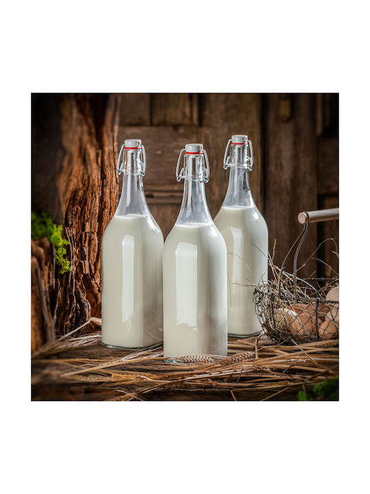 Kadax Μπουκάλι Νερού Γυάλινο με Κλιπ Διάφανο 1000ml