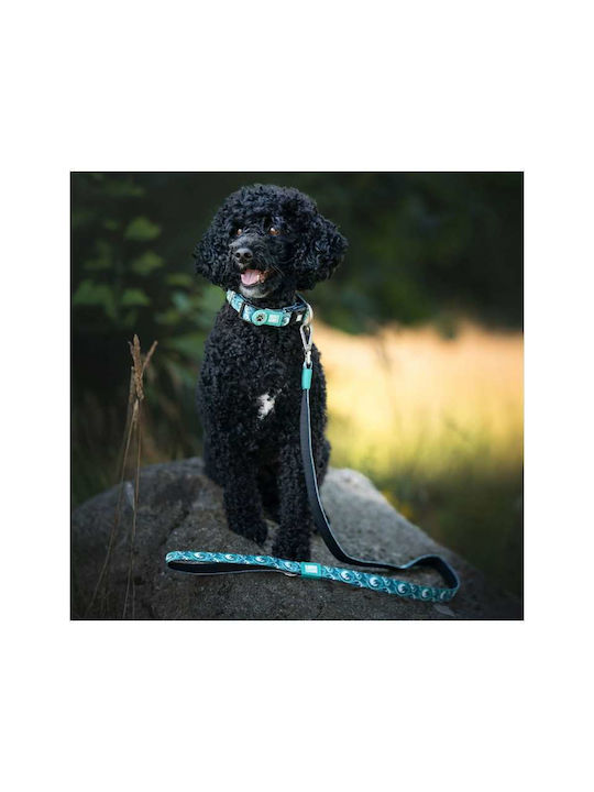 Max Molly Smart Id Dog Collar Storm Large 2.5cm X 39-62cm