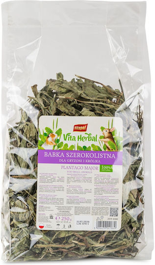 Vitapol Vita Herbal Semințe De Plăntuță Lată Pentru Rozătoare Iepuri 250g