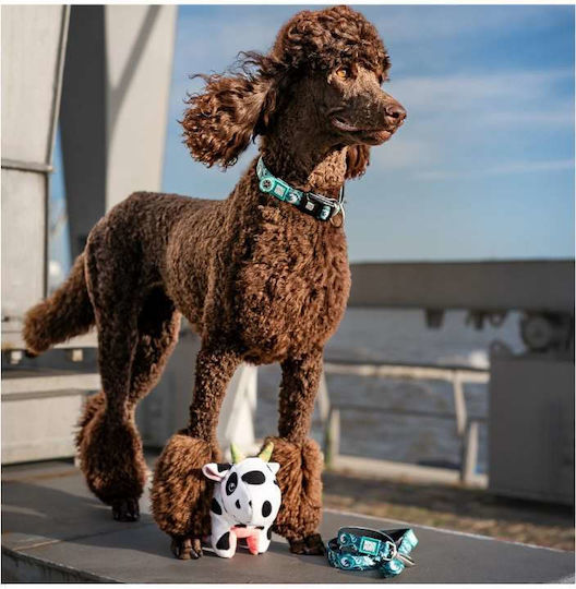 Max & Molly Dog Leash Lead Strap In Green Colour